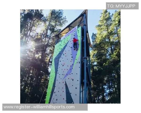 实时新闻攀岩之路的探索与坚持张伟分享他的攀岩生涯与心路历程